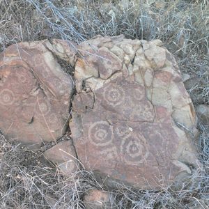 Meet your Posher, James